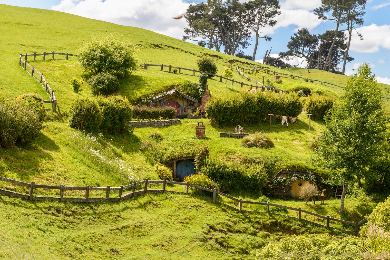 NZ2015-061