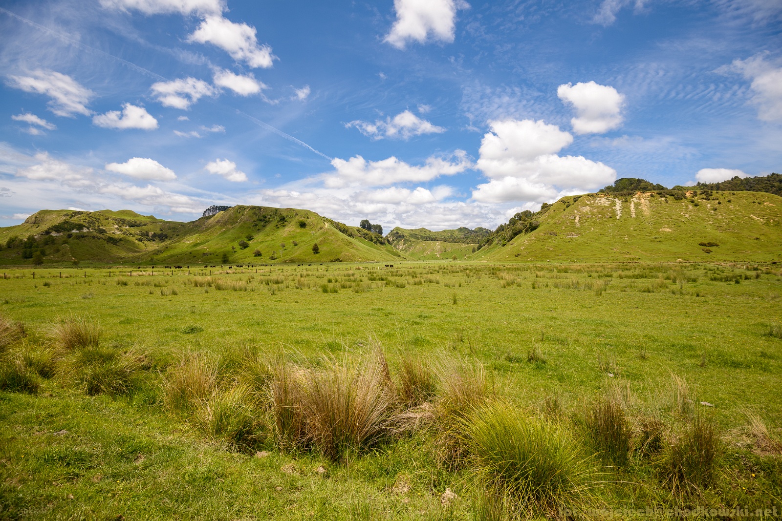NZ2015-108