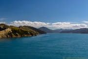 NZ2015-156.jpg
