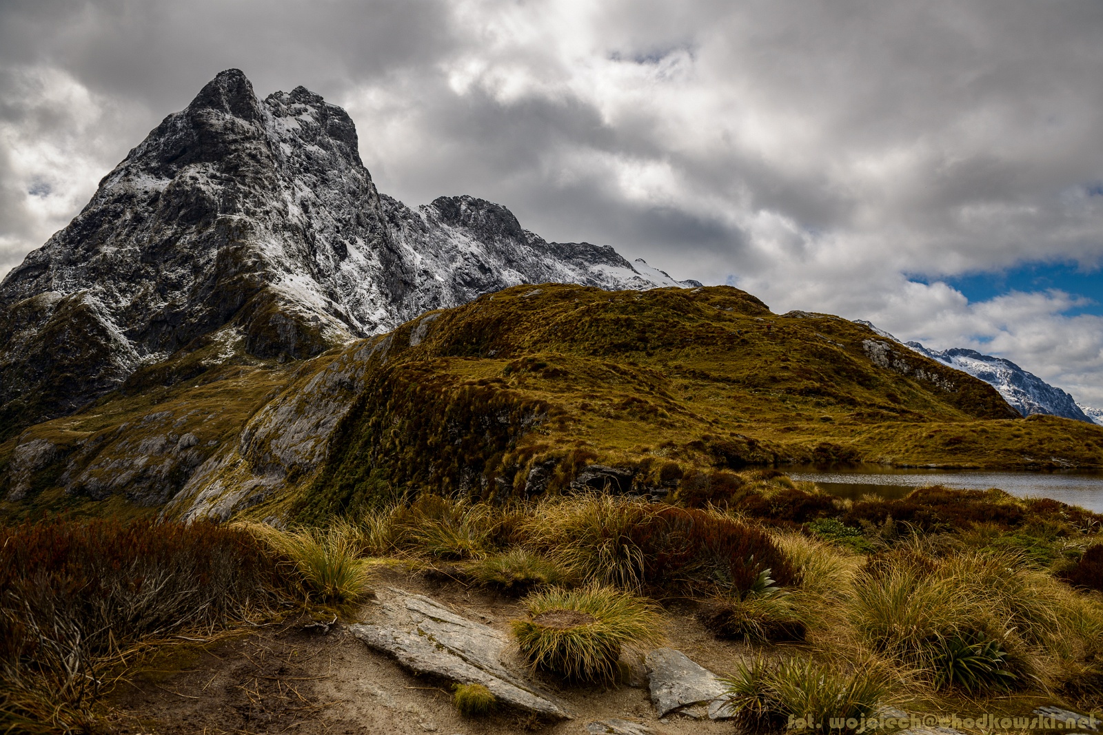 NZ2015-388
