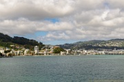 NZ2015-491.jpg