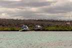 Galapagos Islands: Santa Cruz and Isabela, Ecuador