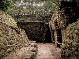 Mex-20121020 003 : 2012, Mexico, Yaxchilan, Yucatan